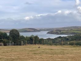 View of the camel estuary from my campervan.