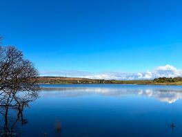 The lake - so peaceful!