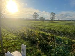 Sunshine in the morning