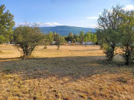 The campsite