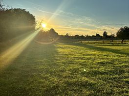 Early morning at campsite