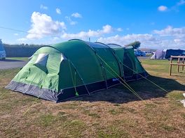 Our electric pitch