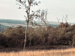 Scenary