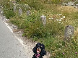 The walk by the sea