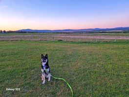Lunas first camping trip