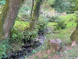 Dartmoor national park
