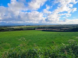 Field view