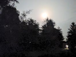 Moon light