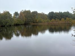 The lake