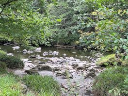 River