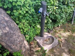 Electricity and water hook up
