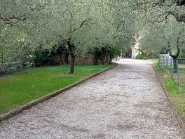 Ingresso