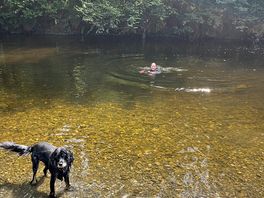 Enjoying the river