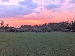 Lovely sky