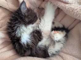 Very cute!