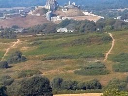 Corfe castle