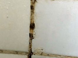 Schimmel in de badkamer