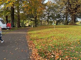 Did i say the site had trees