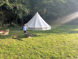 Tipi