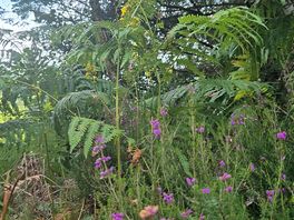 View on a nearby walking trail