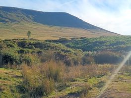 Straight into a walk