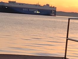 Mein schiff