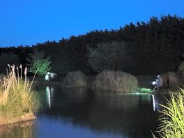 More anglers around the lake at night