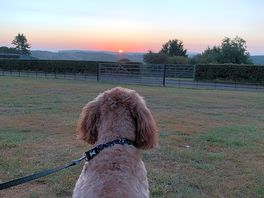 Sunrise over the golden valley