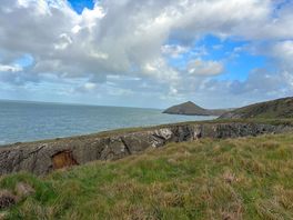 Will be back in the summer