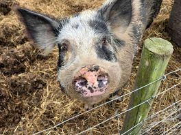 Friendly locals