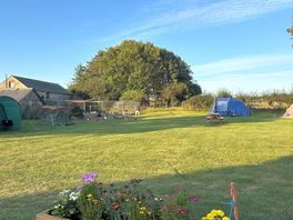 Middle field