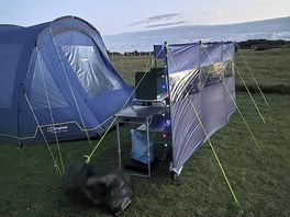 Our setup