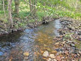 Another view of the stream flowing through the site