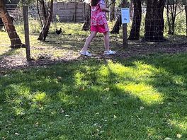 In the woods