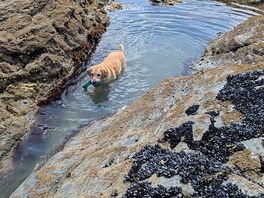 Spit beach