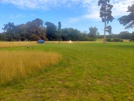 Picture of the field