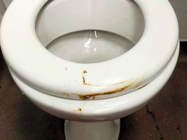 Poo smeared on seat.