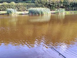 The coarse fishing pond one of 2 course fishing ponds