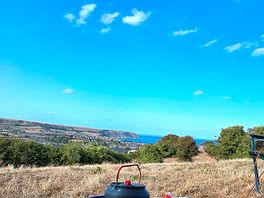 View from tent
