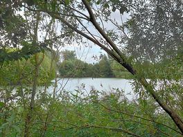Crystal lakes fishing