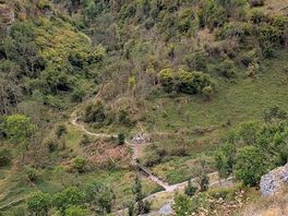 Lathkill dale