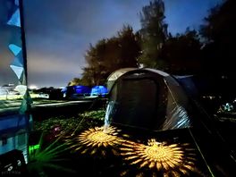 Night time in brown field