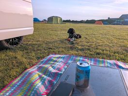Spacious pitch