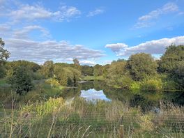 View from walk round the lake