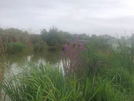 Beautiful lakes