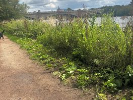 River trent