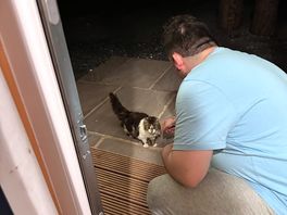 The owner’s cat agnes came to see us, she is so cute