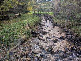 Stream