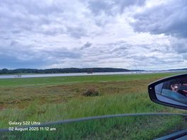 Local views