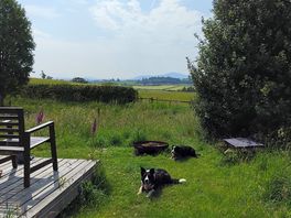 View from front of cabin